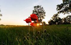 Campingplatz - Ostsee Campingplatz Kagelbusch