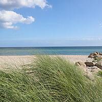 Naturstrand - Ostsee Campingplatz Kagelbusch