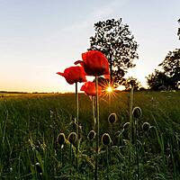 Umgebung  - Ostsee Campingplatz Kagelbusch