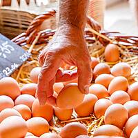 Umgebung  - Ostsee Campingplatz Kagelbusch
