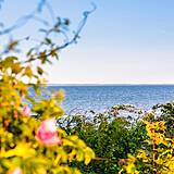 Umgebung  - Ostsee Campingplatz Kagelbusch